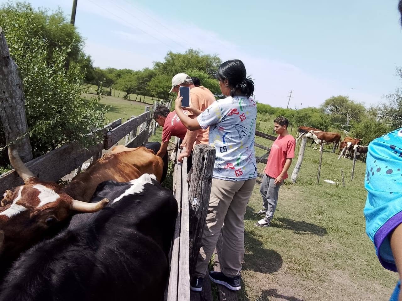 Estudiantes junto al alambrado observando el rodeo